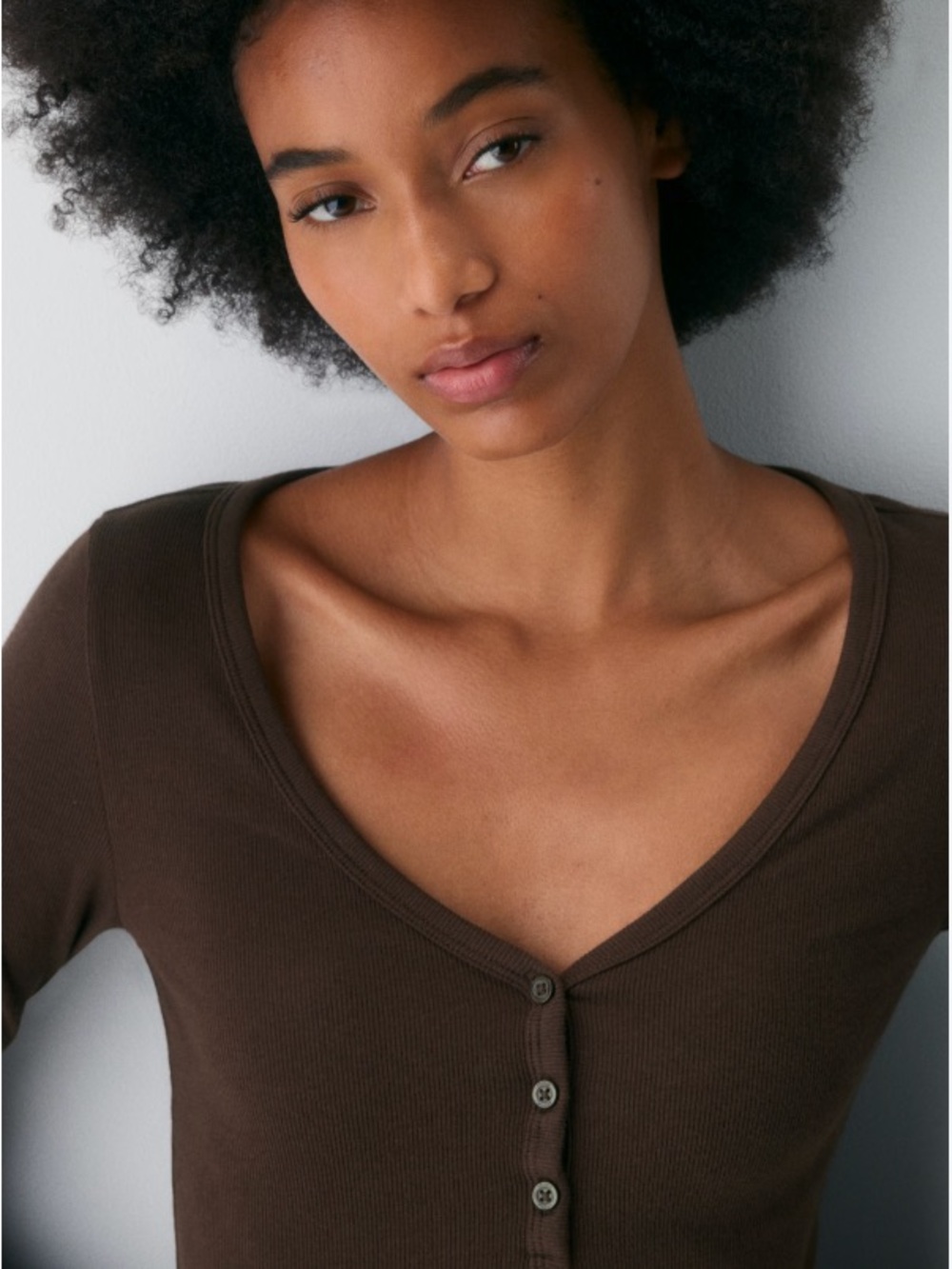 Aritzia Ribbed Homestretch V-Neck Button-Down Top - Brown